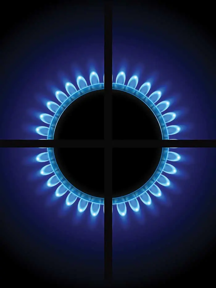 gas-fire-cooker-services-landlords-letting-agents-essex